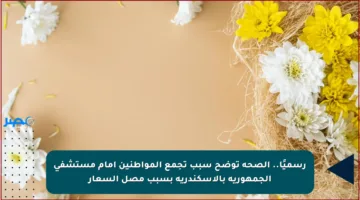 رسميًا.. الصحة توضح سبب تجمع المواطنين أمام مستشفى الجمهورية بالإسكندرية بسبب مصل السعار